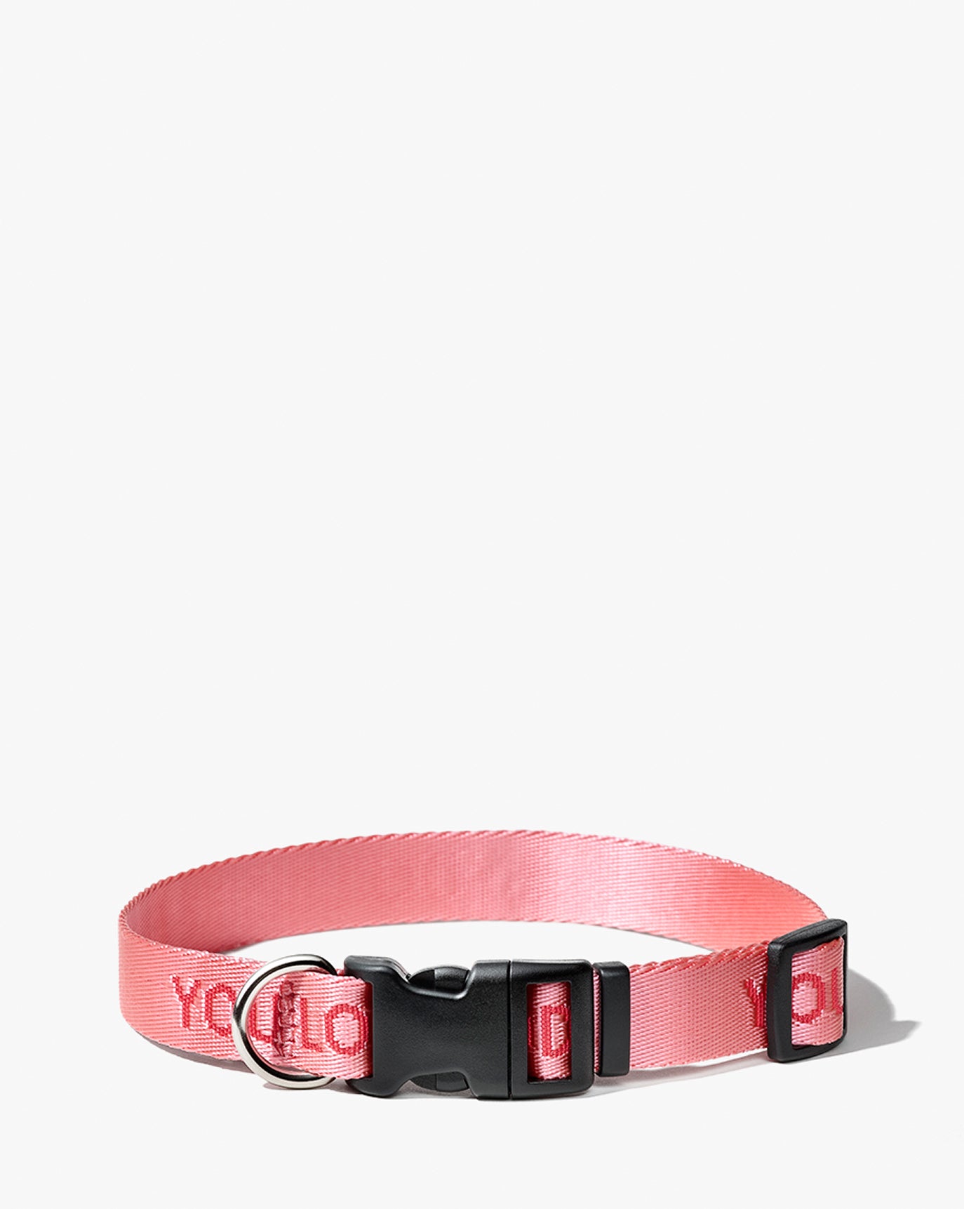 You Look Good Collar - Image 7
