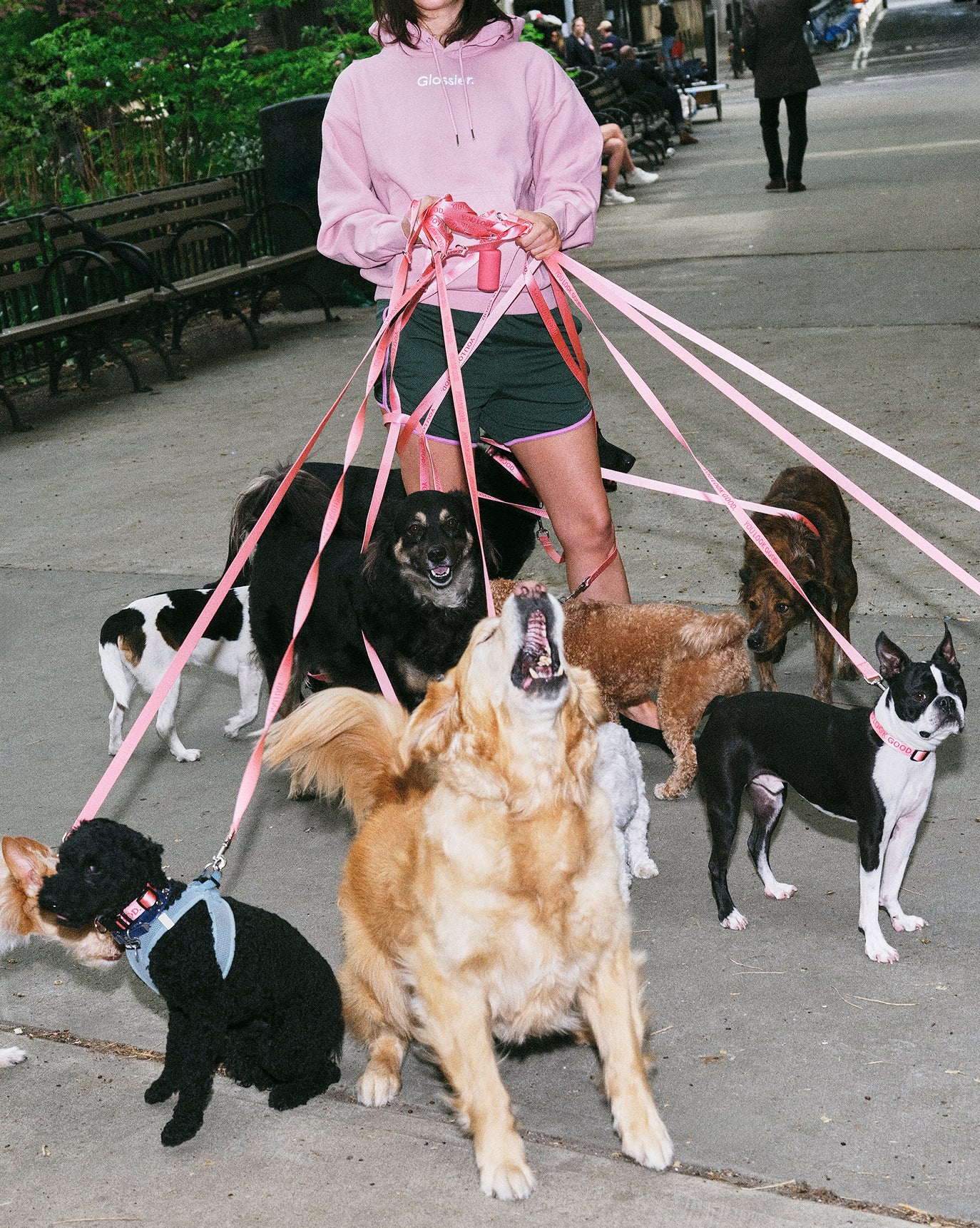 You Look Good Leash - Image 5