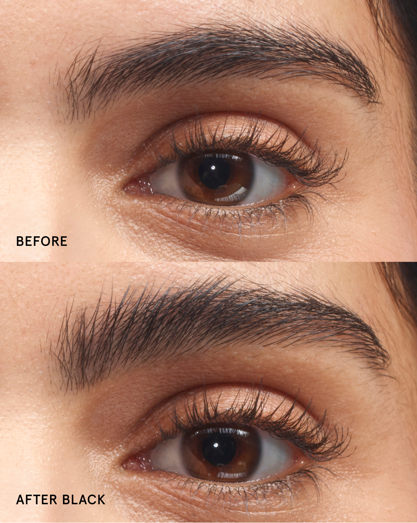 Boy Brow - Image 4