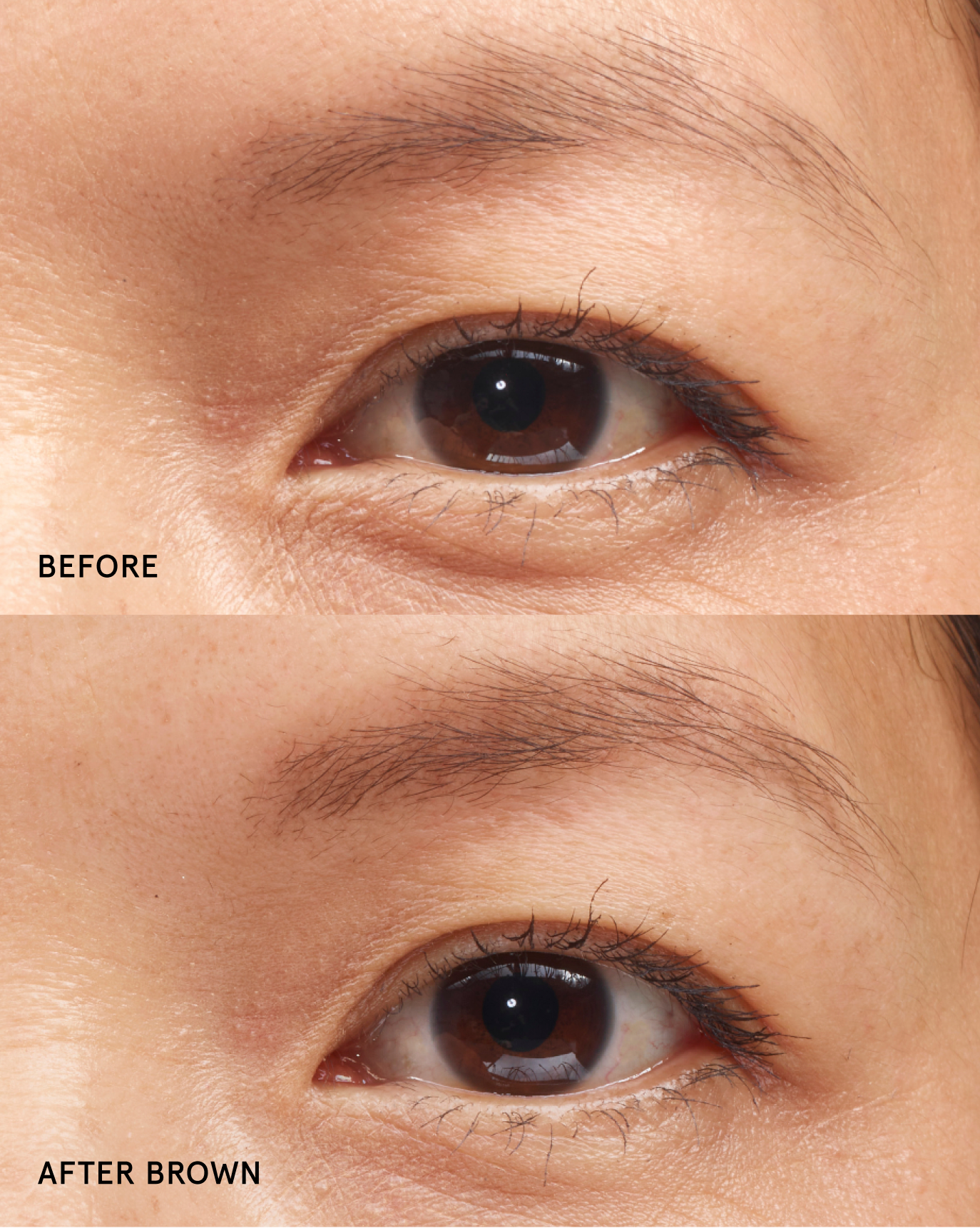 Boy Brow - Image 22