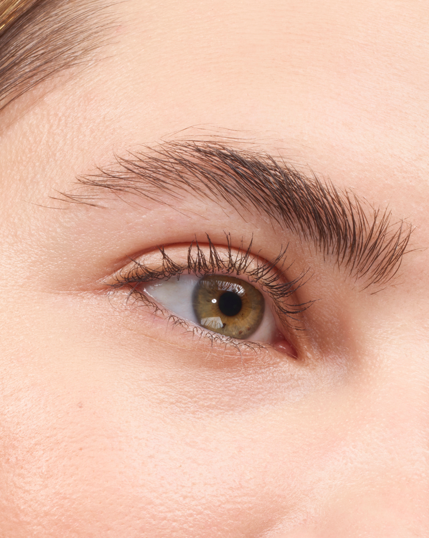 Boy Brow - Image 15